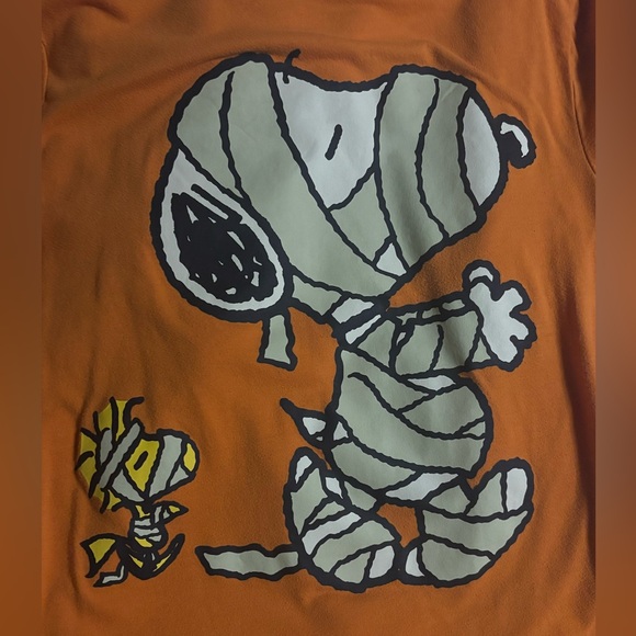 Peanuts Orange Snoopy Woodstock Halloween T Shirt Size Small - Picture 2 of 6